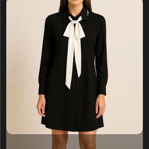 Chic Black Long Sleeve Dress with White Accent